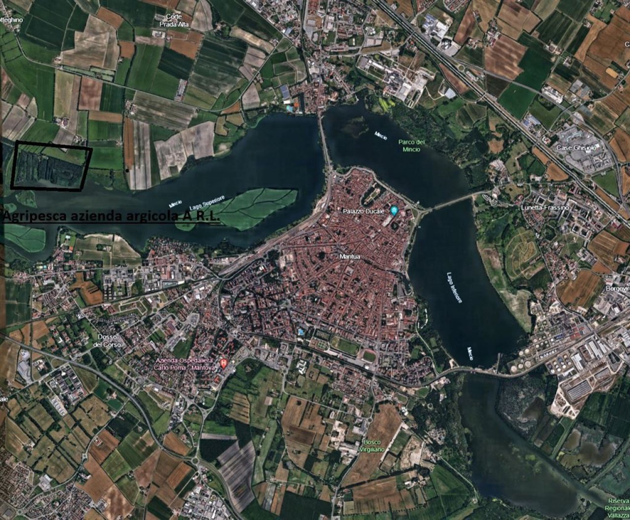 Gesamtareal
