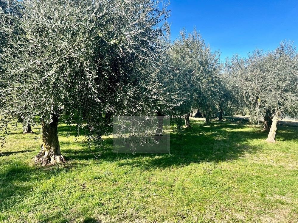 casa-cavaion-09