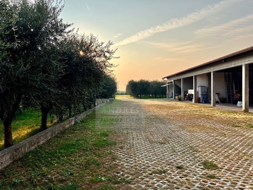 casa-cavaion-83