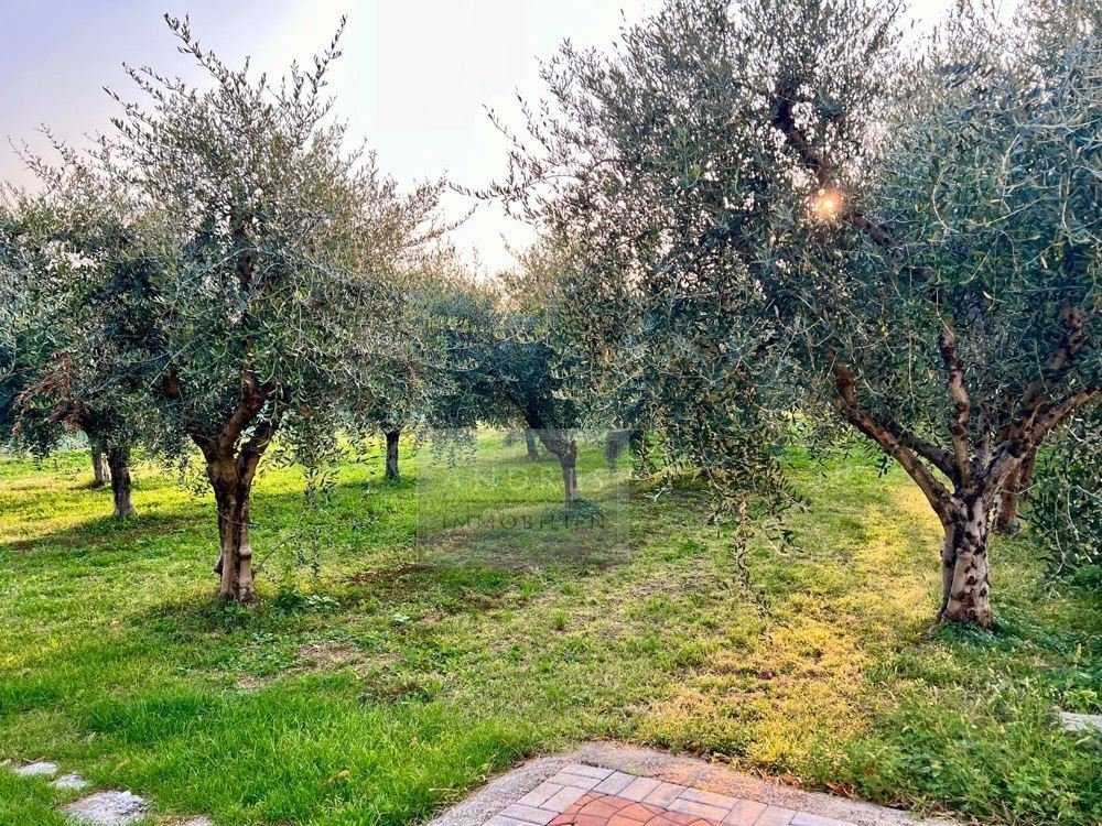 casa-cavaion-80