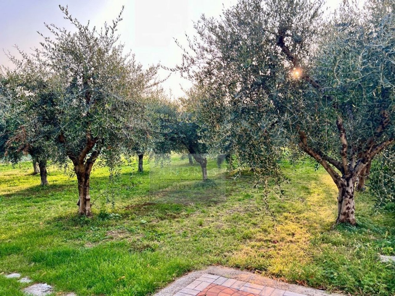 casa-cavaion-80