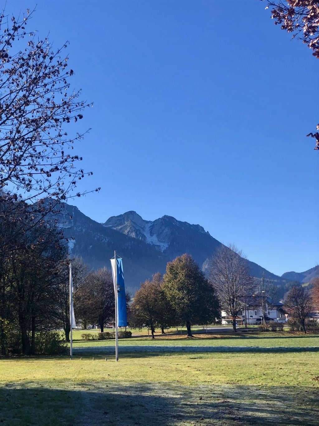 Blick