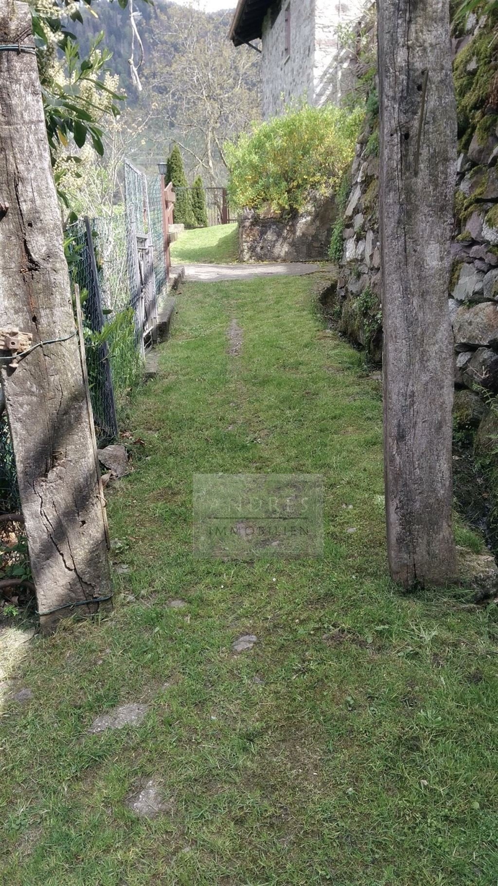Zugang Nussbäume