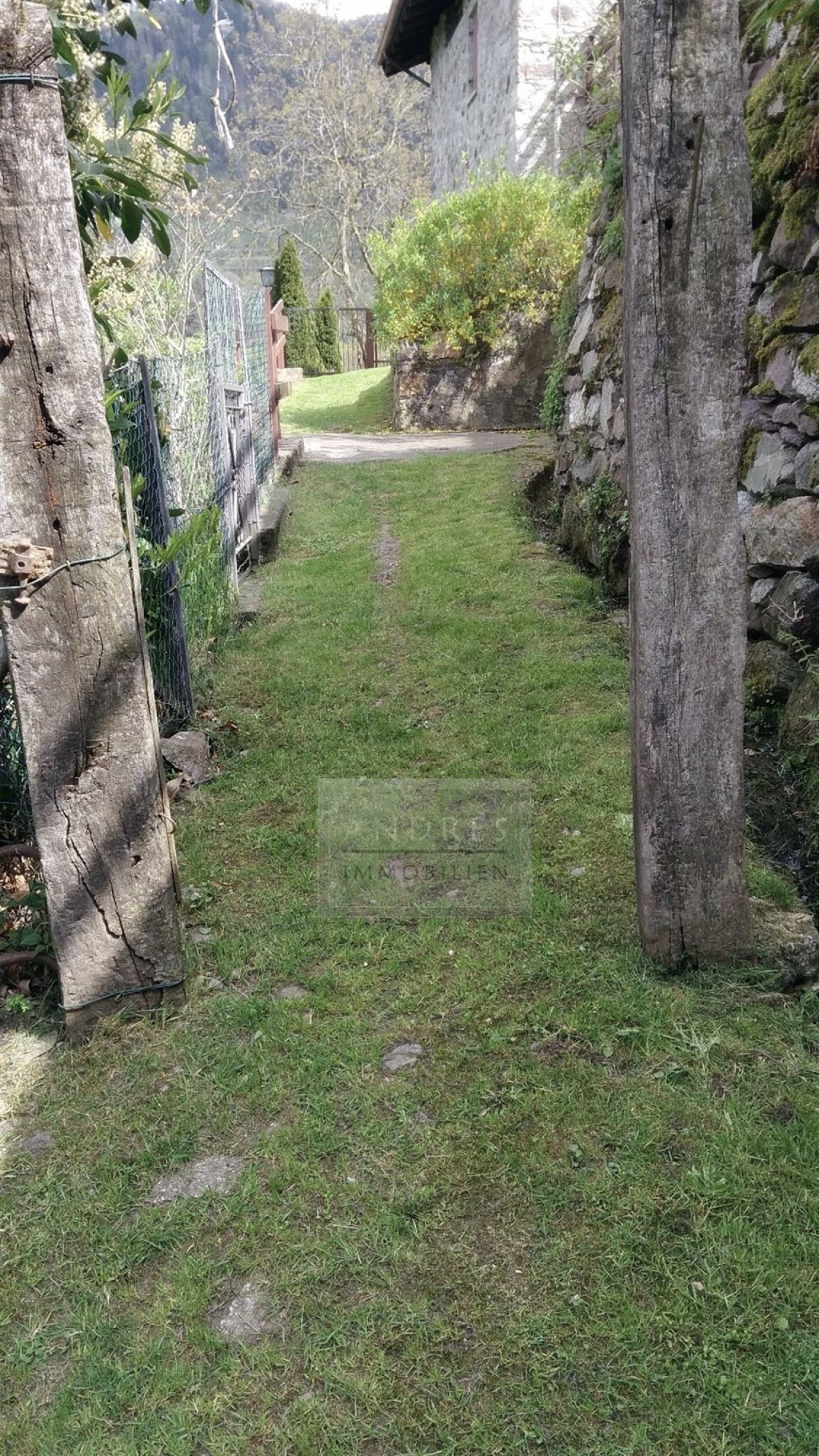 Zugang Nussbäume