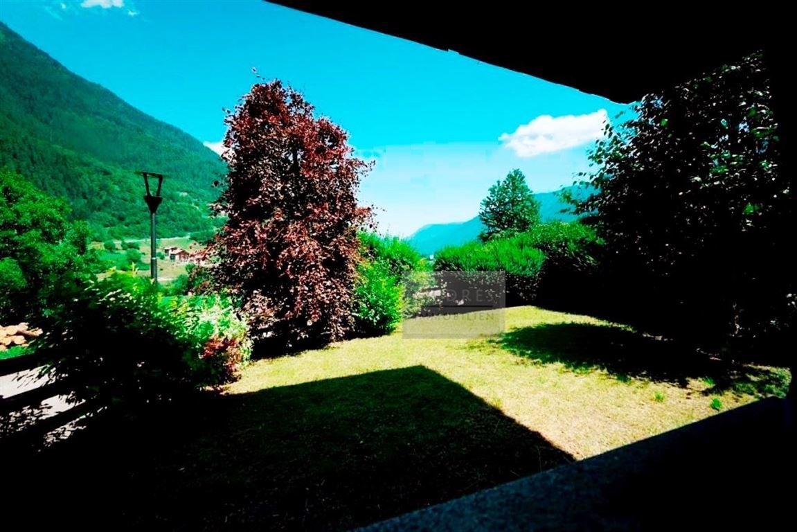 Garten 2