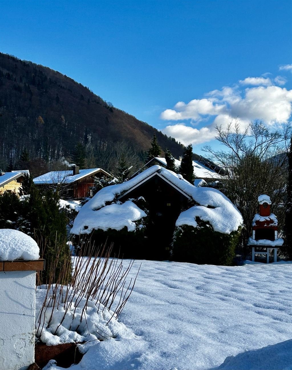 Winter 3