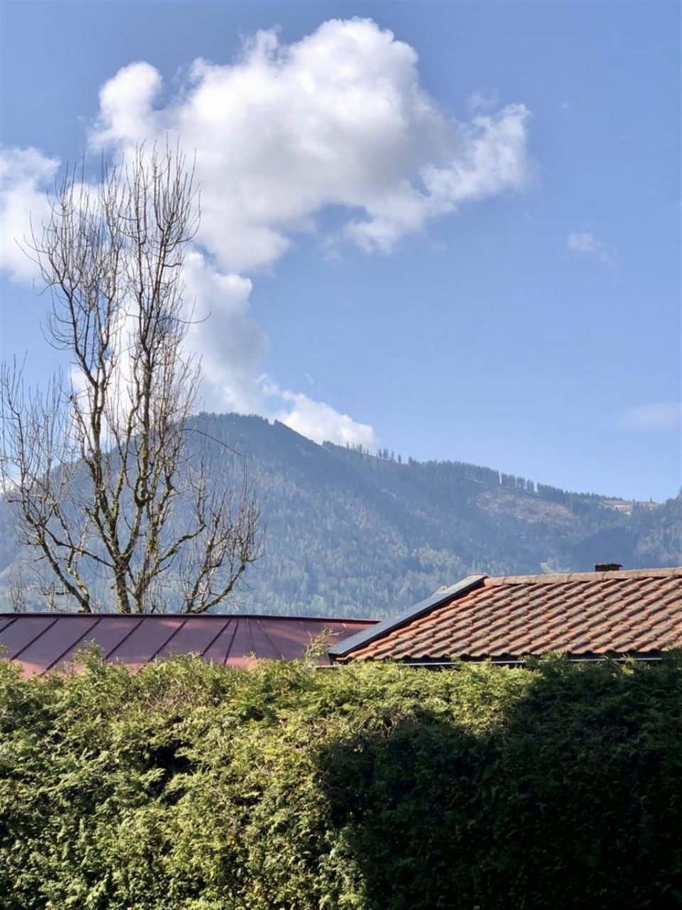 Ausblick