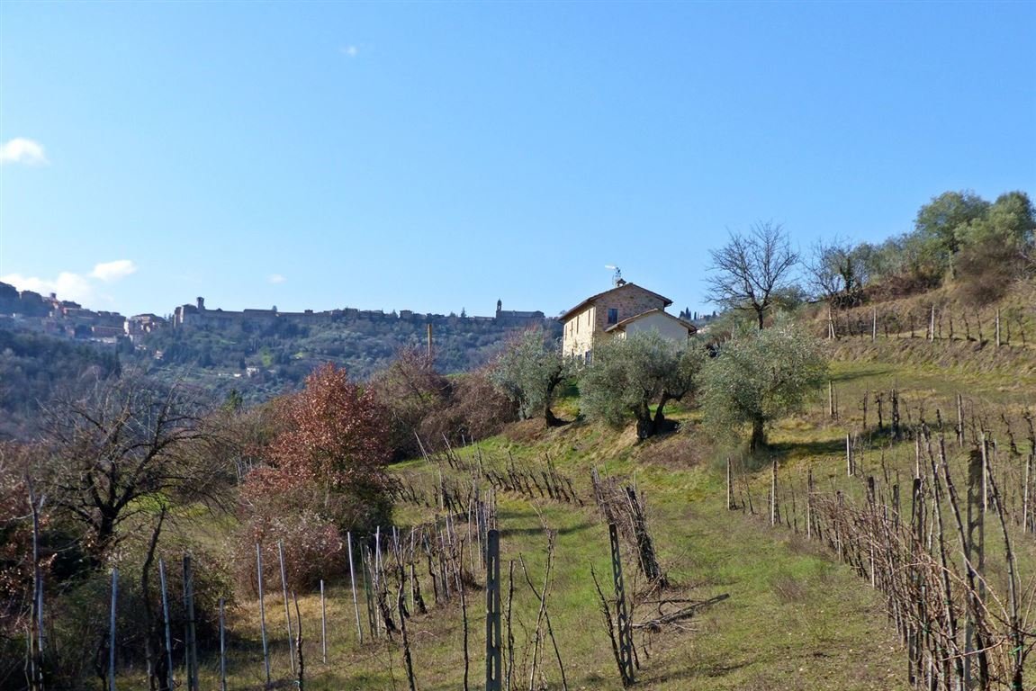 27-4633-view-from-the-vineyard-Podere-tra-gli-Uliv