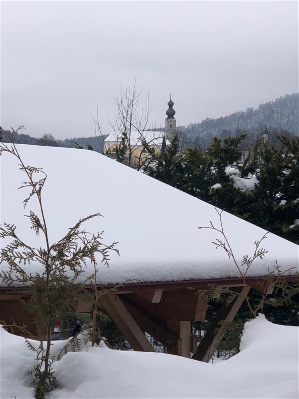 Ausblick